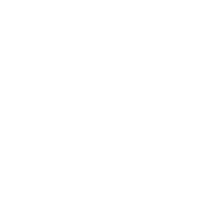 e commerce store thebrandingguru.com