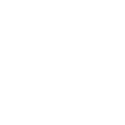 seo services thebrandingguru.com