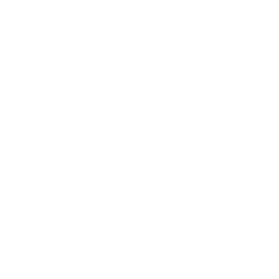 website development thebrandingguru.com